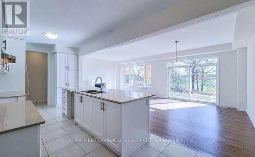 272 Broadacre Drive, Kitchener, ON - Indoor Photo Showing Kitchen With Double Sink