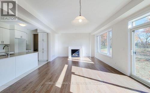 272 Broadacre Drive, Kitchener, ON - Indoor With Fireplace