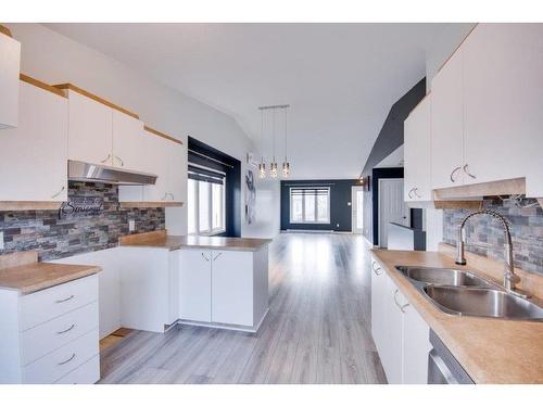 Cuisine - 121 Rue Des Pins-Blancs, Gatineau (Masson-Angers), QC - Indoor Photo Showing Kitchen With Double Sink