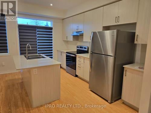 294 Okanagan Path, Oshawa, ON - Indoor Photo Showing Kitchen With Double Sink