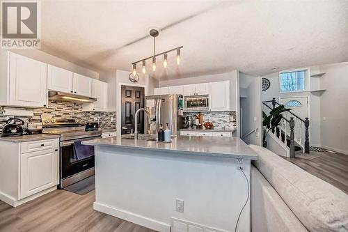 191 Saddleback Road Ne, Calgary, AB - Indoor Photo Showing Kitchen With Stainless Steel Kitchen With Upgraded Kitchen