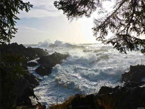 Lot 8 Elina Rd, Ucluelet, BC 