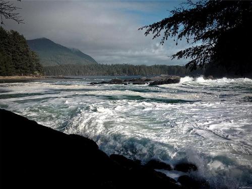 Lot 8 Elina Rd, Ucluelet, BC 