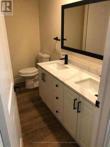 Lower - 36 Highcourt Crescent, St. Catharines (442 - Vine/Linwell), ON - Indoor Photo Showing Bathroom