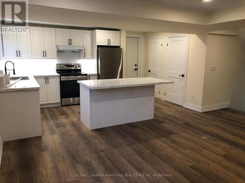 Lower - 36 Highcourt Crescent, St. Catharines (442 - Vine/Linwell), ON - Indoor Photo Showing Kitchen With Double Sink