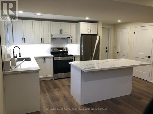 Lower - 36 Highcourt Crescent, St. Catharines (442 - Vine/Linwell), ON - Indoor Photo Showing Kitchen With Double Sink