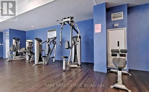 518W - 36 Lisgar Street, Toronto, ON - Indoor Photo Showing Gym Room