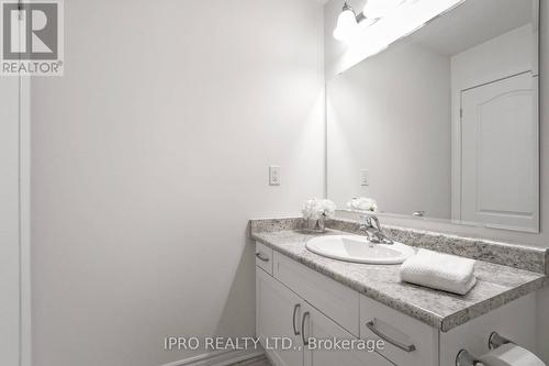 277 Casson Point, Milton, ON - Indoor Photo Showing Bathroom