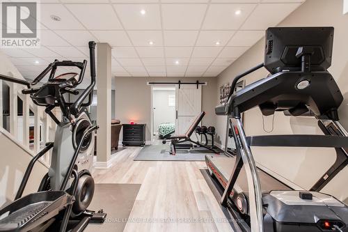 33 Cheval Drive, Grimsby, ON - Indoor Photo Showing Gym Room