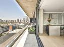 View - 1604-242 Rue Young, Montréal (Le Sud-Ouest), QC  - Outdoor With Balcony With Exterior 