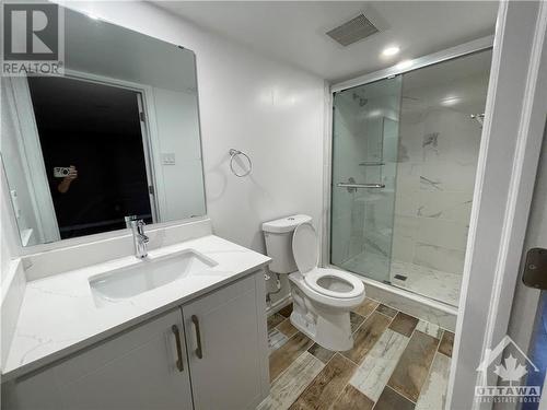 651 Broad Cove Crescent, Barrhaven (7711 - Barrhaven - Half Moon Bay), ON - Indoor Photo Showing Bathroom