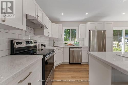 60 Ball Avenue E, Brock, ON - Indoor Photo Showing Kitchen With Upgraded Kitchen