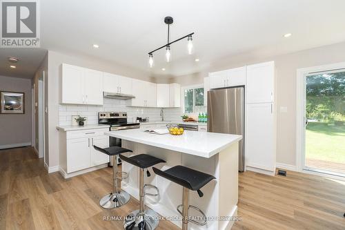 60 Ball Avenue E, Brock, ON - Indoor Photo Showing Kitchen With Upgraded Kitchen