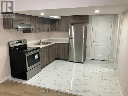 Bsmt - 11 Miracle Trail, Brampton, ON - Indoor Photo Showing Kitchen With Double Sink