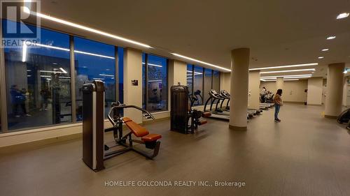 1011 - 32 Forest Manor Road, Toronto, ON - Indoor Photo Showing Gym Room