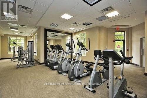 Ph104 - 133 Wynford Drive, Toronto, ON - Indoor Photo Showing Gym Room