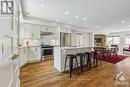 341 Riverdale Avenue, Ottawa, ON  - Indoor Photo Showing Kitchen With Upgraded Kitchen 