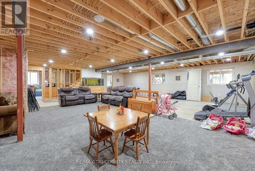 287 Highway 24 W, Norfolk (Walsingham), ON - Indoor Photo Showing Basement