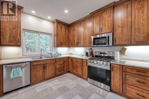 287 Highway 24 W, Norfolk (Walsingham), ON - Indoor Photo Showing Kitchen