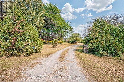 1205 Scugog Line 10, Scugog, ON - Outdoor With View