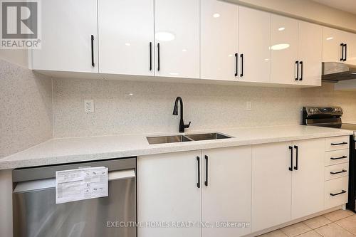 753 Edwards Avenue, Milton, ON - Indoor Photo Showing Kitchen With Double Sink