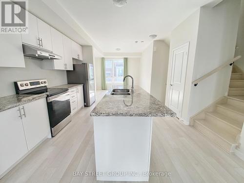 17 James Noble Lane, Richmond Hill, ON - Indoor Photo Showing Kitchen With Double Sink With Upgraded Kitchen