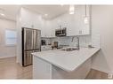 3843 Chrustawka Place Pl Sw, Edmonton, AB  - Indoor Photo Showing Kitchen With Stainless Steel Kitchen With Double Sink With Upgraded Kitchen 