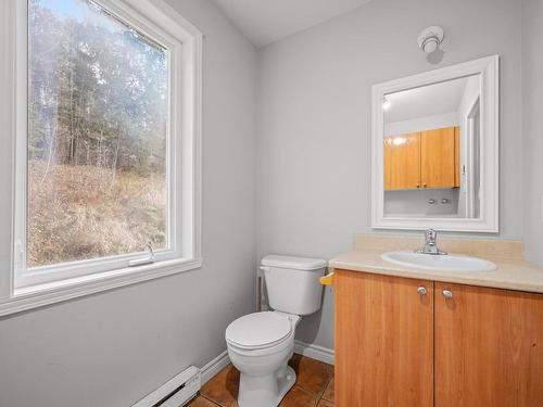 Powder room - 4683Z  - 4685Z Rue Léonard, Mont-Tremblant, QC - Indoor Photo Showing Bathroom