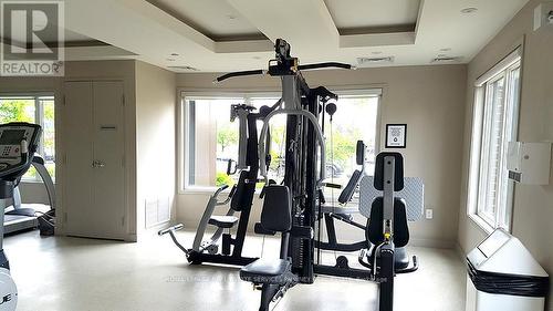 108 - 5025 Harvard Road, Mississauga, ON - Indoor Photo Showing Gym Room