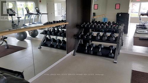 108 - 5025 Harvard Road, Mississauga, ON - Indoor Photo Showing Gym Room