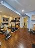 Bsmt - 29 Wyndcliff Crescent, Toronto, ON  - Indoor Photo Showing Gym Room 