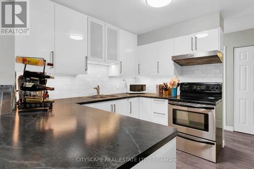 310 - 500 Westmount Road W, Kitchener, ON - Indoor Photo Showing Kitchen With Upgraded Kitchen