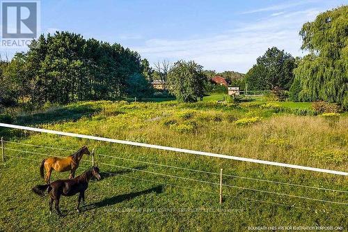 7011 Highway 6, Northern Bruce Peninsula, ON - Outdoor With View