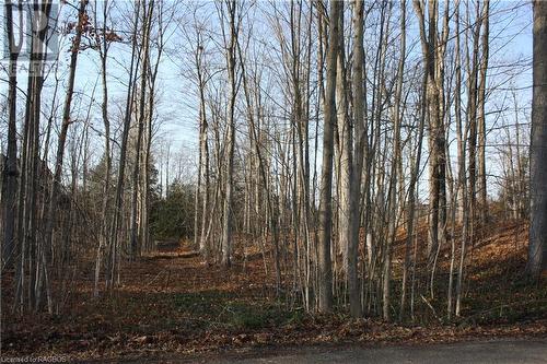 View of local wilderness - Part Lot 1 Dorena Crescent, Sauble Beach, ON 