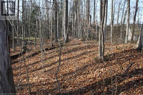 View of nature - Part Lot 1 Dorena Crescent, Sauble Beach, ON 