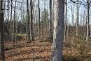 View of local wilderness - Part Lot 1 Dorena Crescent, Sauble Beach, ON 