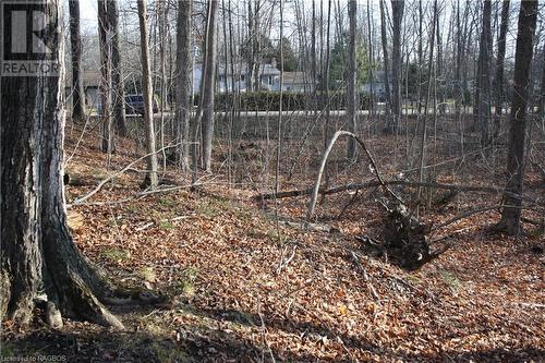 View of landscape - Part Lot 1 Dorena Crescent, Sauble Beach, ON 