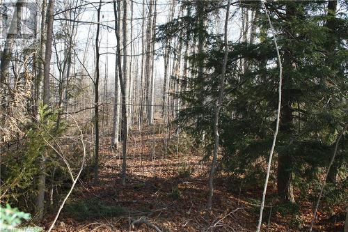 View of landscape - Part Lot 1 Dorena Crescent, Sauble Beach, ON 