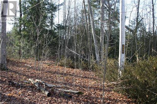 View of nature - Part Lot 1 Dorena Crescent, Sauble Beach, ON 