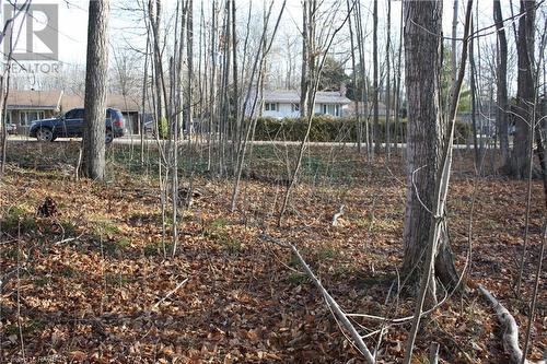 View of yard - Part Lot 1 Dorena Crescent, Sauble Beach, ON 