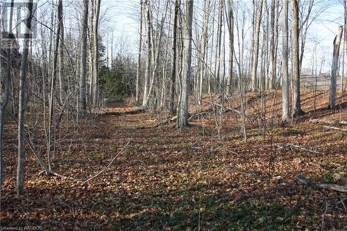 View of landscape - Part Lot 1 Dorena Crescent, Sauble Beach, ON 