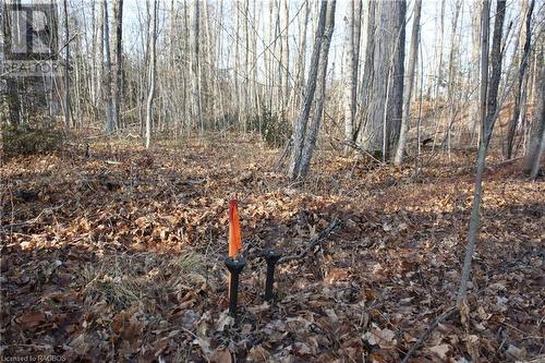 View of landscape - Part Lot 1 Dorena Crescent, Sauble Beach, ON 