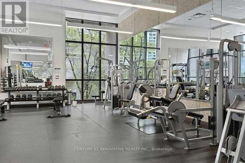 3009 - 33 Harbour Square, Toronto, ON - Indoor Photo Showing Gym Room