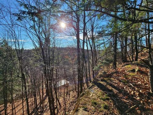 Vue d'ensemble - 58 Ch. Constantineau, Grenville-Sur-La-Rouge, QC - Outdoor With View