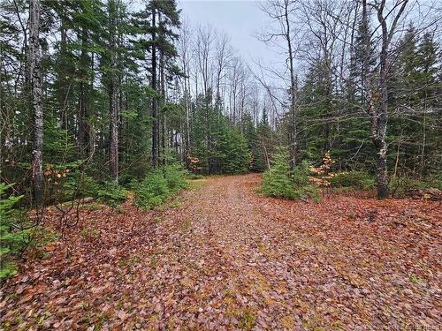 940 Nepisiguit Falls, Nepisiguit Falls, NB 