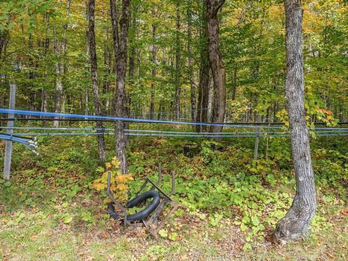 ExtÃ©rieur - 2432 Route De La Frontière, Saint-Zacharie, QC 