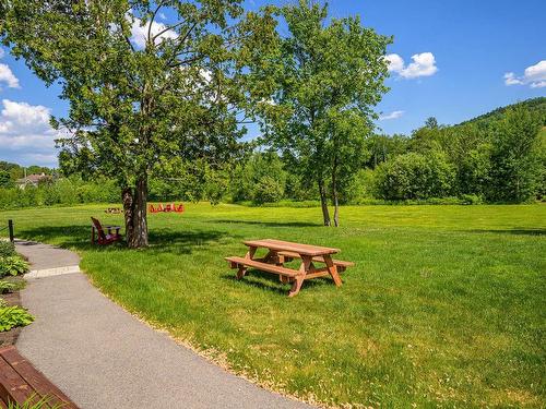 Other - 204-310 Ch. Louis-Dufour, Saint-Sauveur, QC - Outdoor With View