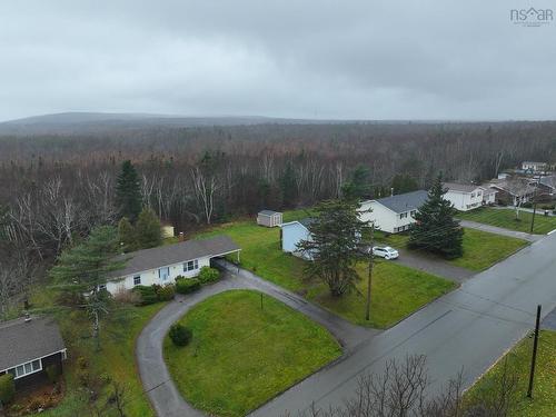 171 Braemar Drive, Westmount, NS 