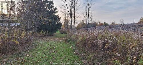 7295 Baseline Road, Windsor, ON 