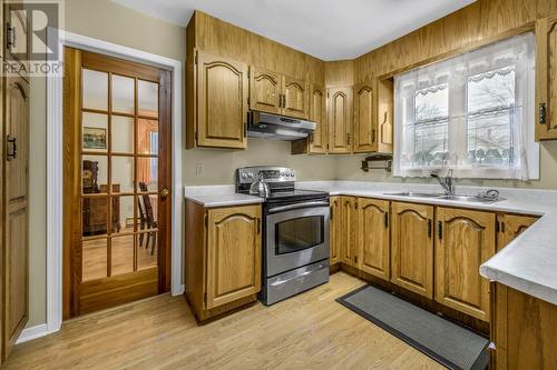 81 Carrick Drive, St. John'S, NL - Indoor Photo Showing Kitchen With Double Sink